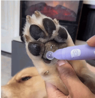Pet Paw Moistening Roller for Healthy Paws