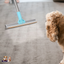 Rastrillo Premium para la Eliminación de Pelo de Mascotas GBruno