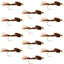 Barbless Bead Head Pheasant Tail Nymph Fly 1 Dozen Flies Hook Size 18