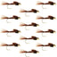 Premium Barbless Bead Head Pheasant Tail Nymphs - 12 Pack, Size 14 - Korvel