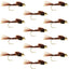 Premium Barbless Bead Head Pheasant Tail Nymph Flies - 12 Pack, Size 16 - Korvel