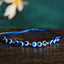 Pinky Promise Blue Bracelet Set - Colorful Crystal Bead Rope Chain