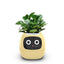 Plantly Smart Flowerpot - Intelligent Indoor Gardening Solution