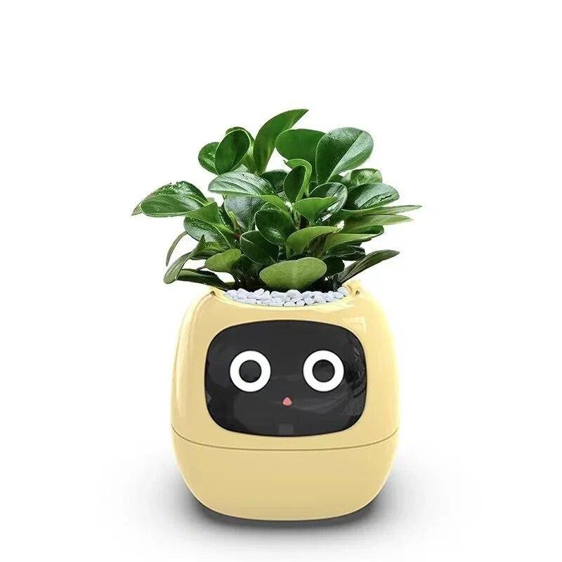 Plantly Smart Flowerpot - Intelligent Indoor Gardening Solution