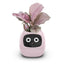 Plantly Smart Flowerpot - Intelligent Indoor Gardening Solution