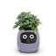 Plantly Smart Flowerpot - Intelligent Indoor Gardening Solution