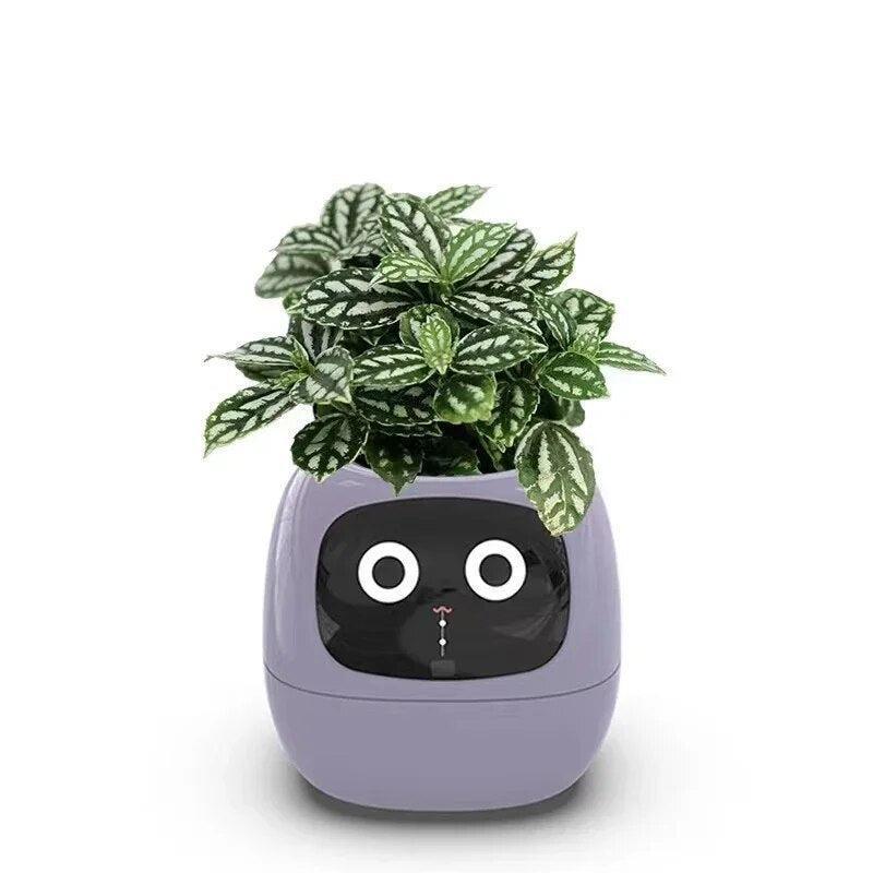 Plantly Smart Flowerpot - Intelligent Indoor Gardening Solution