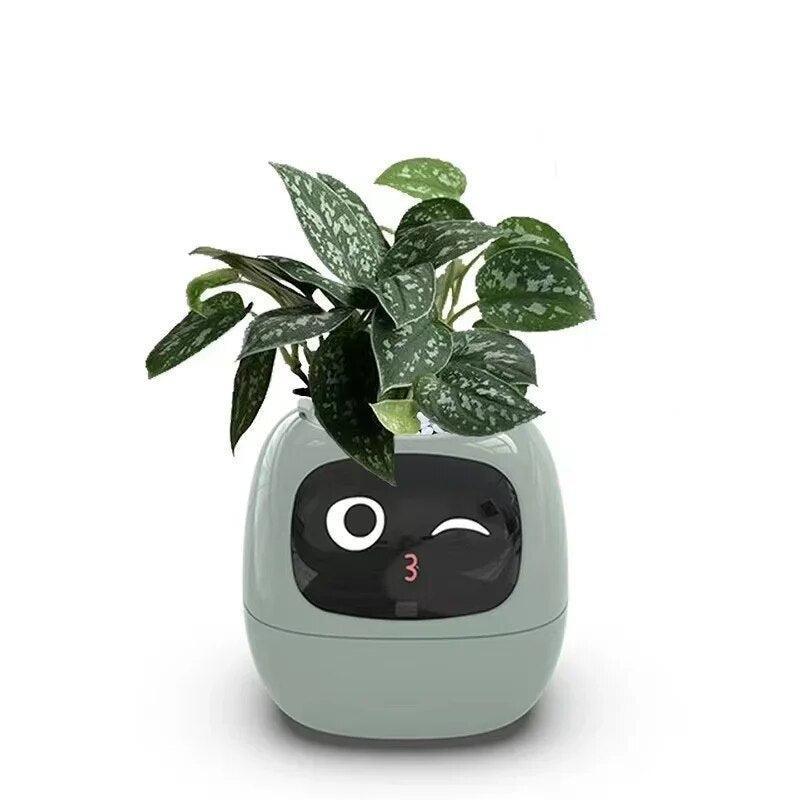 Plantly Smart Flowerpot - Intelligent Indoor Gardening Solution