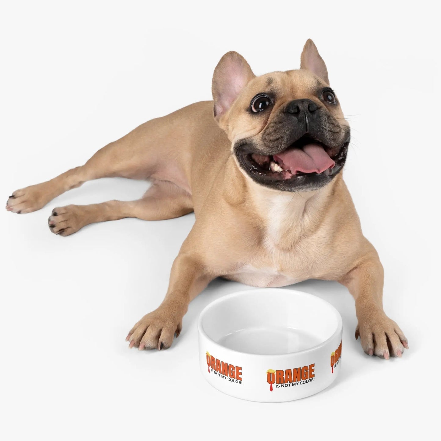 Bol pour animaux ludique - L'orange n'est pas ma couleur !