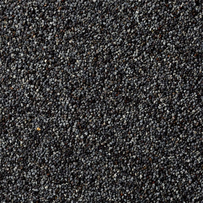 Graines de pavot premium