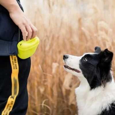 Portable Dog Training Treat Pouch with Clip