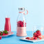 Mixeur Blender Électrique Portable - Mini Mixeur de Fruits