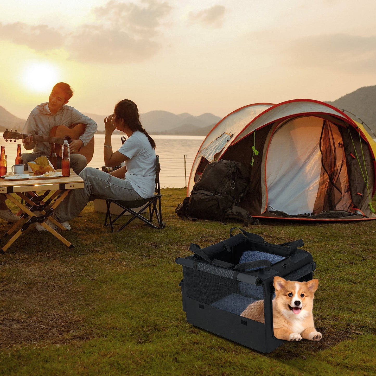 Transporteur portable pliable pour animaux de compagnie premium avec ouvertures doubles