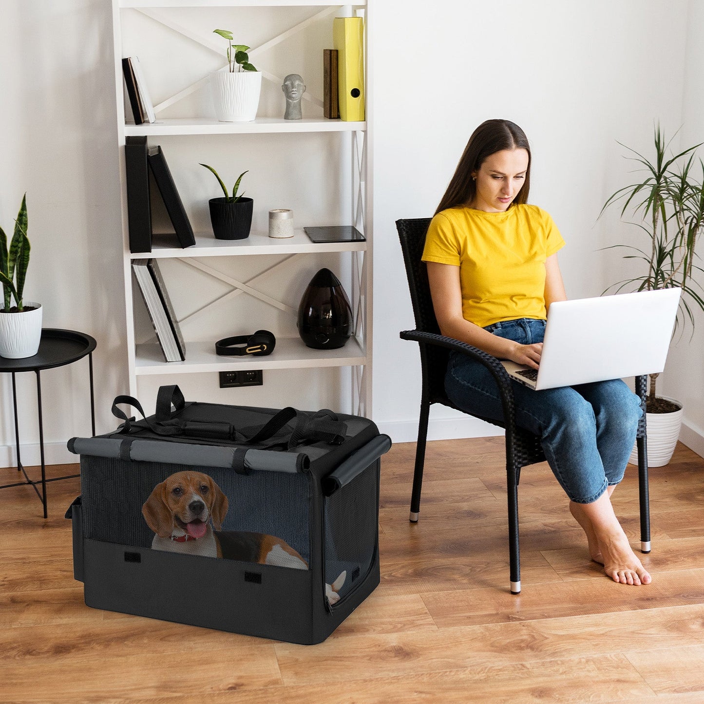 Transporteur portable pliable pour animaux de compagnie premium avec ouvertures doubles