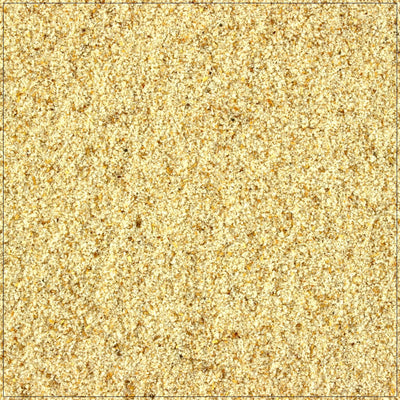 Premium Celery Salt for Flavorful Cooking
