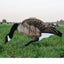 Pro II Lite Decoy Set - Lightweight Full Color Design - Korvel
