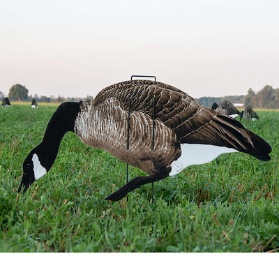 Pro II Lite Decoy Set - Lightweight Full Color Design - Korvel