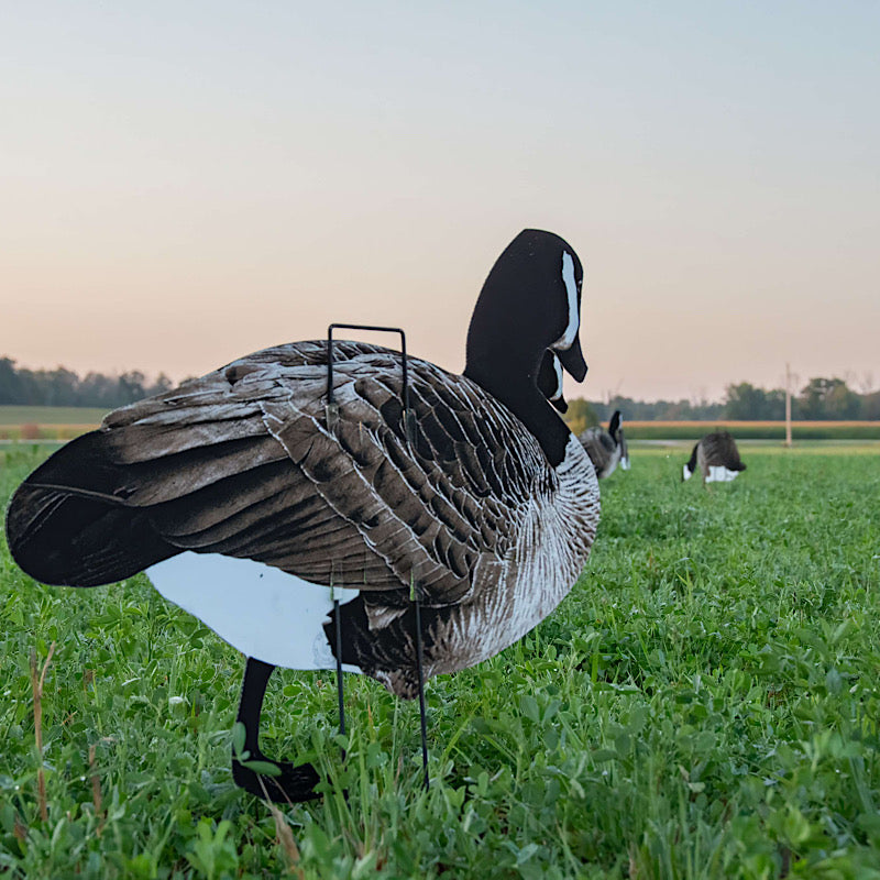 Pro II Lite Decoy Set - Lightweight Full Color Design - Korvel