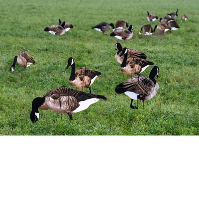 Pro II Lite Decoy Set - Lightweight Full Color Design - Korvel
