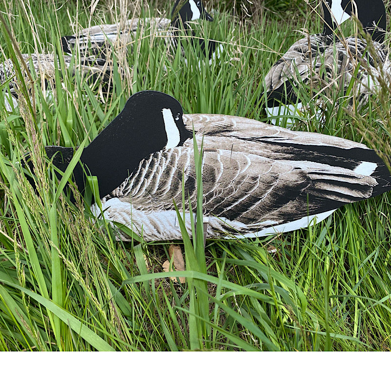 Pro Series II Sit’n Geese Decoys