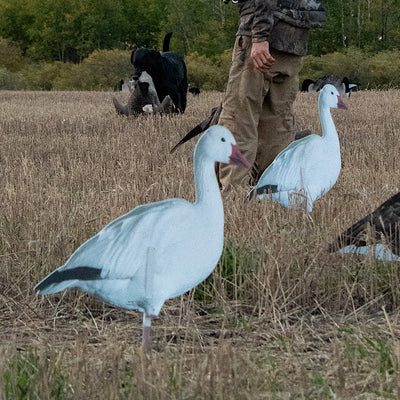 Pro Series II Snow Goose Decoys