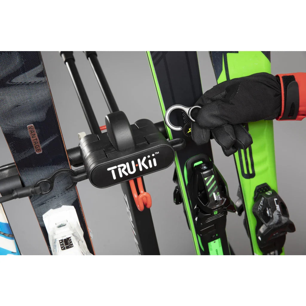Système de Voyage de Ski Premium pour des Escapades en Montagne Sans Effort