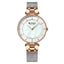 Montre de Luxe pour Femme avec Design en Zircon - Cadeau Parfait pour Elle
