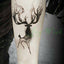 Vibrant Lion King Temporary Tattoos - Waterproof & Stylish for All - Korvel