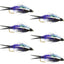 Premium Double Bead Purple Psycho Prince Nymph Flies - Size 8 (Pack of 6) - Korvel