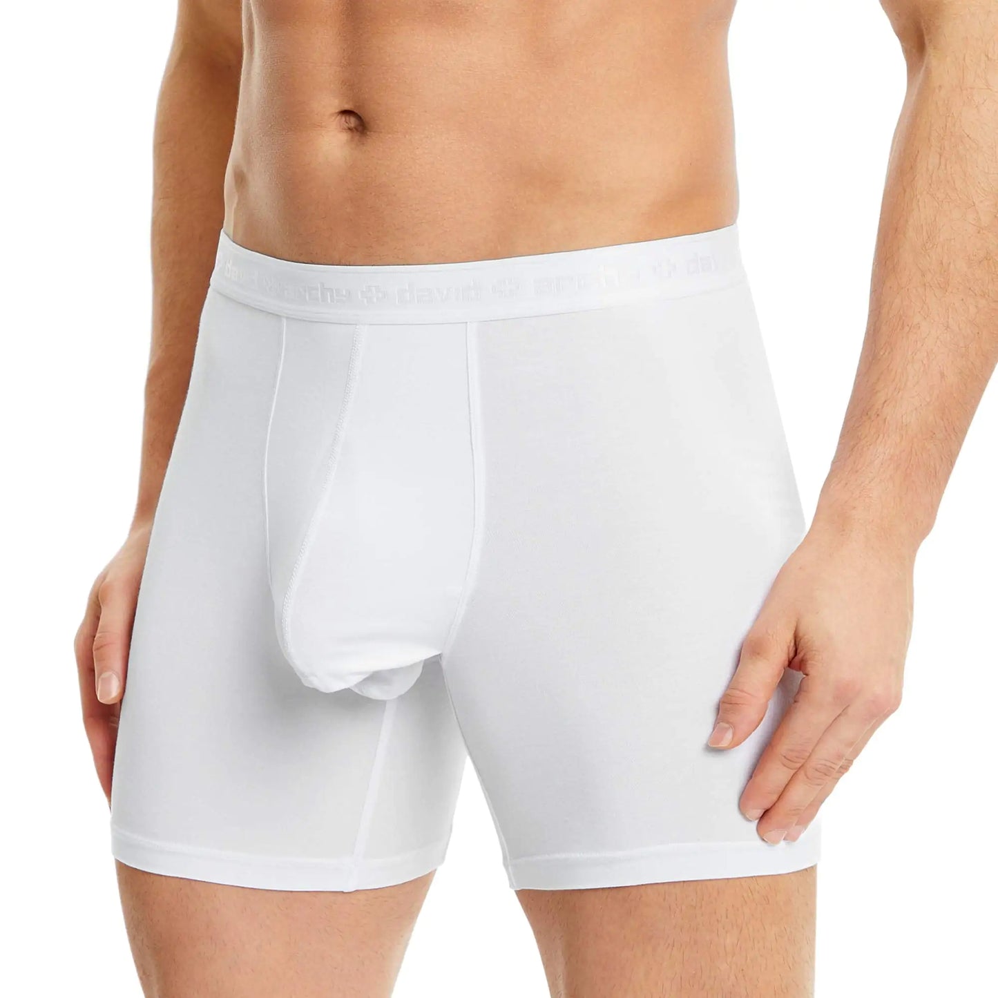 DAVID ARCHY Men's Micro Modal Dual Pouch Trunks - 3 Pack
