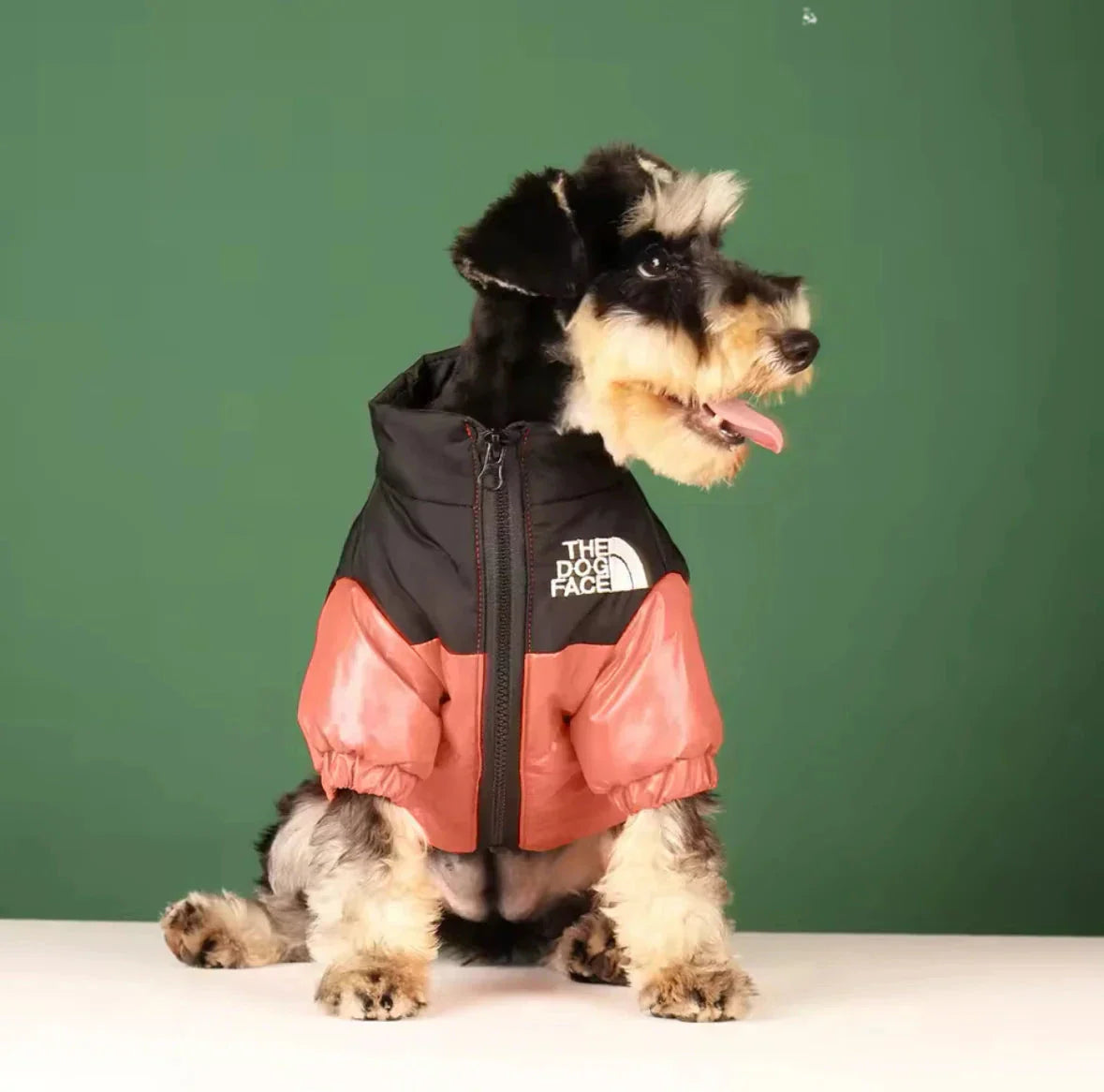 Veste Puffer Premium pour Chien par Temps Froid