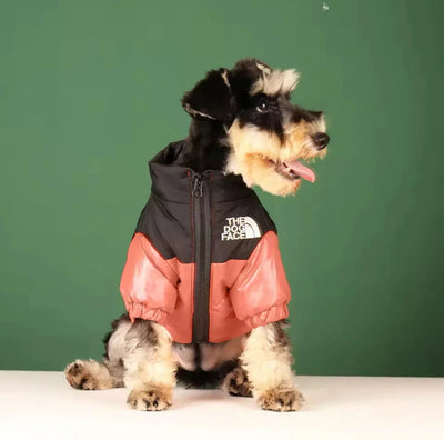Premium Puffer Dog Jacket for Cold Weather