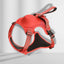 PullGuard Leashmate ( M- Big dogs) - Korvel