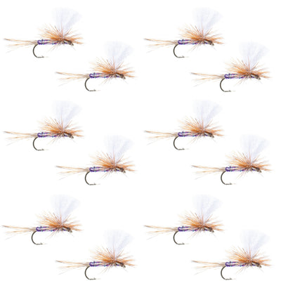 Parachute Super Flash Purple Haze Dry Fly - 12 Flies Size 16 - Korvel