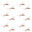 Parachute Super Flash Purple Haze Dry Fly - 12 Flies Size 12 - Korvel