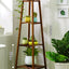 Elegant Multi-Tier Indoor Plant Stand for Living Rooms
