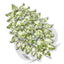 Anillo de Compromiso de Peridoto Genuino de 8.89 Quilates en Plata Esterlina .925