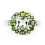 Anillo de Plata de Ley con Amatista Verde de 3.49 Quilates y Diopside Cromado