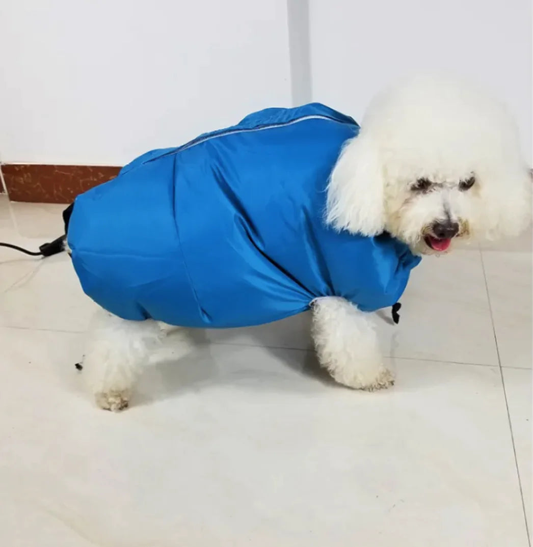 Kit de Sèche-Cheveux pour Chiens Premium pour un Toilettage Sans Effort