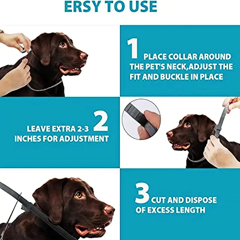 Collar Antipulgas Premium para Mascotas con Protección Duradera