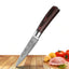 Juego de cuchillos de cocina Carpenter's Special de 6 piezas