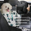 Cama Premium para Cachorros y Gatos para el Coche - Comodidad y Seguridad en Movimiento