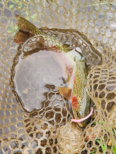 Premium Custom Trout Worms for Fishing