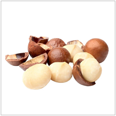 Raw Macadamia Nuts - Korvel