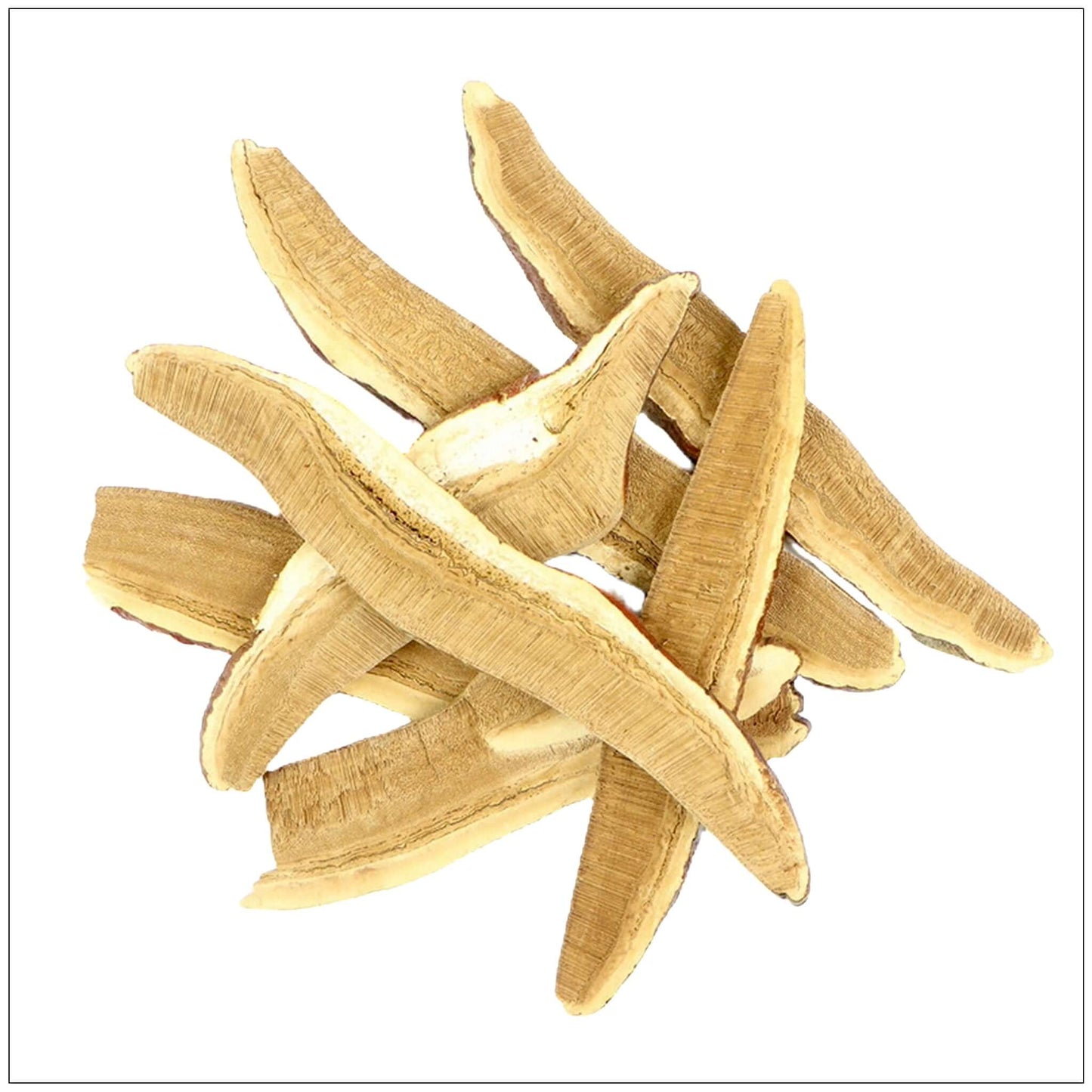 Rebanadas de Champiñón Reishi Premium