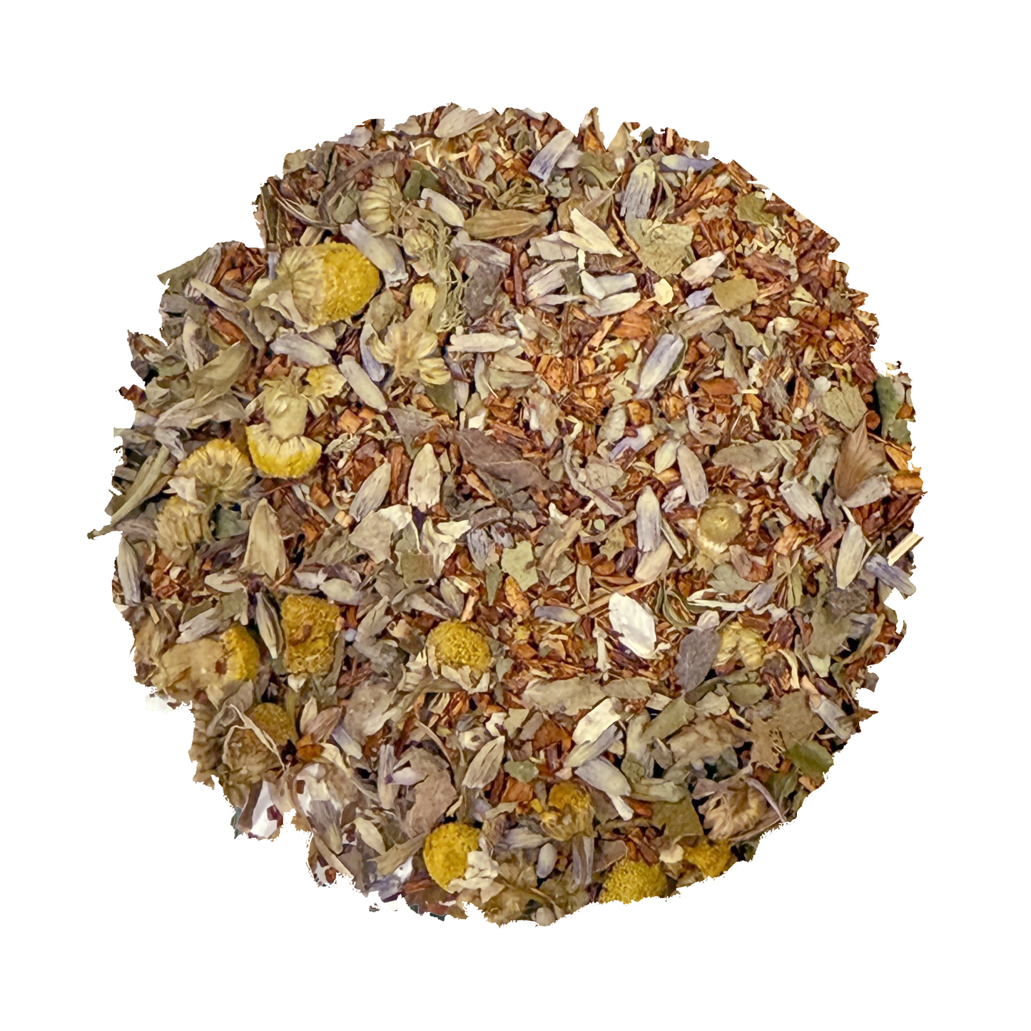 Beach Wellness: Rest - Korvel