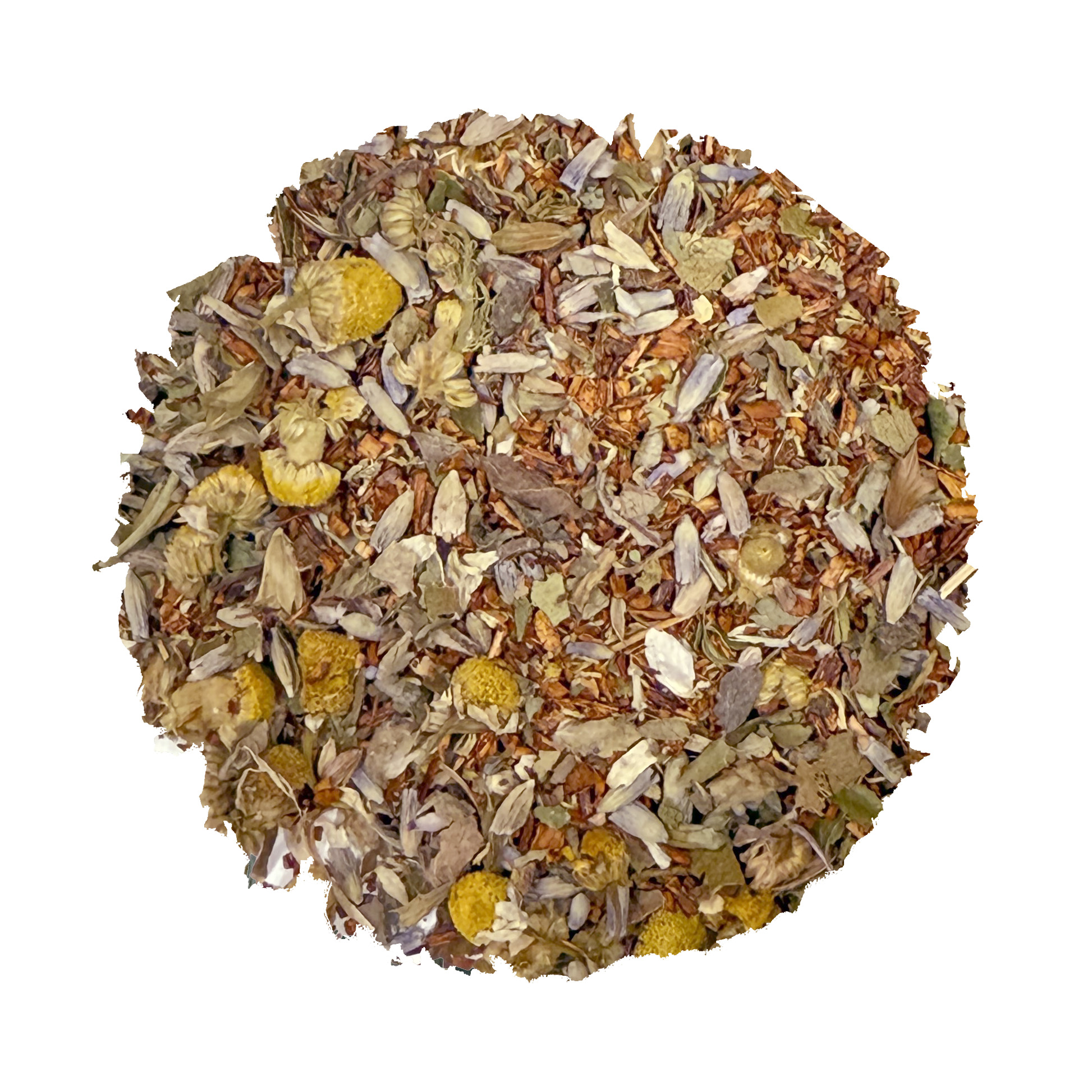 Beach Wellness: Rest - Korvel