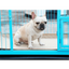 Washable Dog Pee Pads - Reusable Waterproof Training Mats for Pets - Korvel