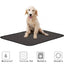 Washable Dog Pee Pads - Reusable Waterproof Training Mats for Pets - Korvel