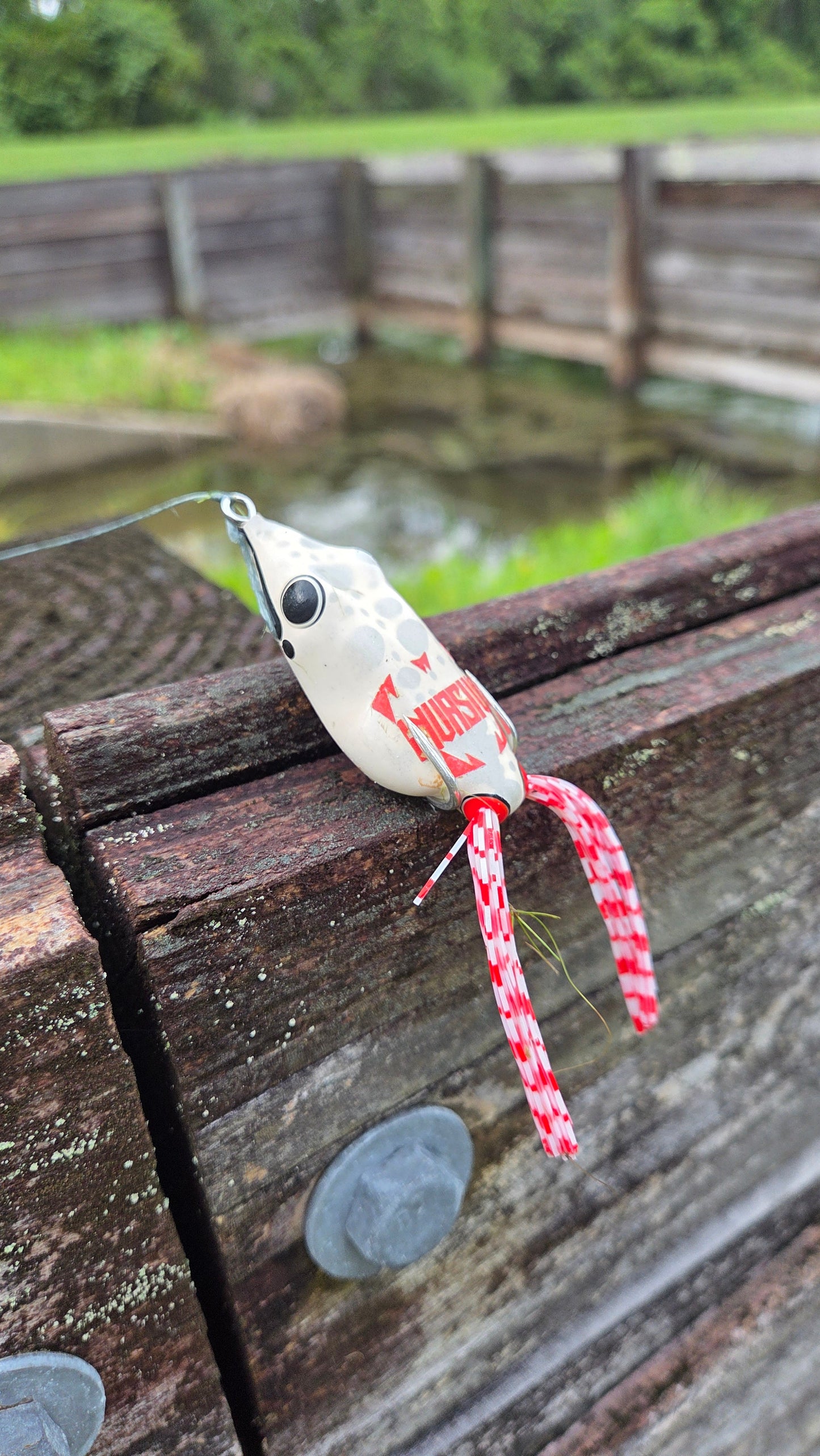 Swamp Walker - Premium Hollow Body Fishing Lure